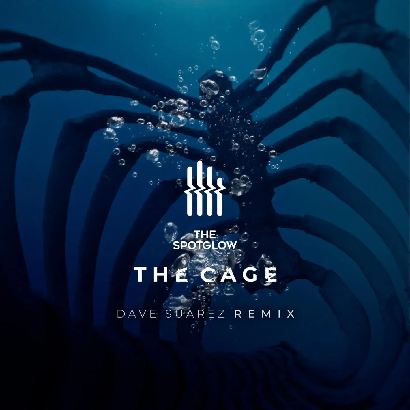 thecage dave music producer